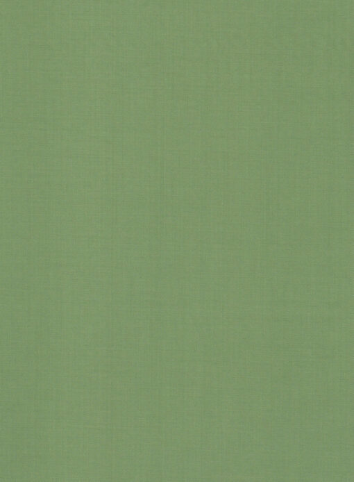 Absoluto Men's Terry Rayon Solids 3.75 Meter Unstitched Suiting Fabric (Light Green)